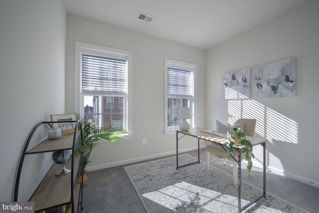 carpeted home office featuring a healthy amount of sunlight