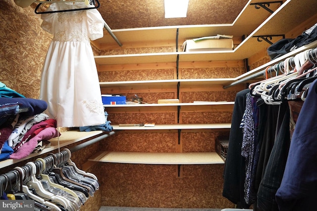 view of walk in closet