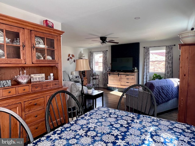 dining area with ceiling fan, dark wood-type flooring, and a healthy amount of sunlight