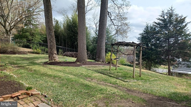 view of yard