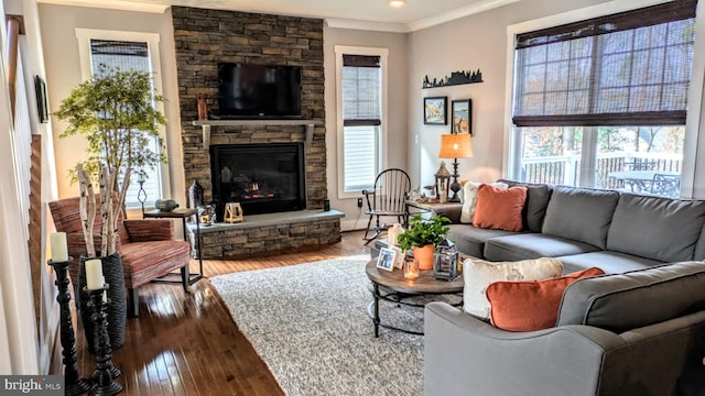 living room with ornamental molding, a stone fireplace, and hardwood / wood-style floors