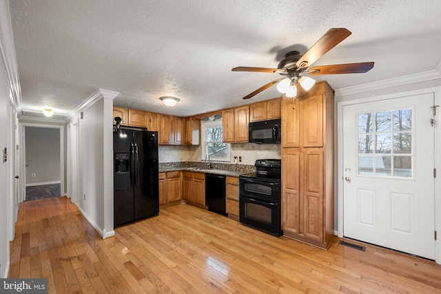 kitchen featuring sink, light wood-type flooring, and black appliances