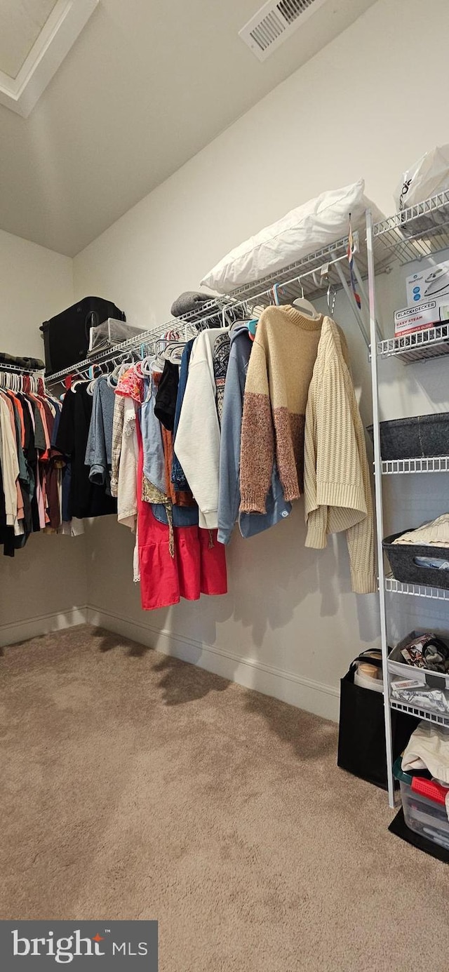 spacious closet with carpet floors