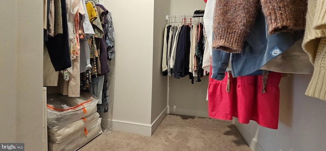 spacious closet featuring light colored carpet