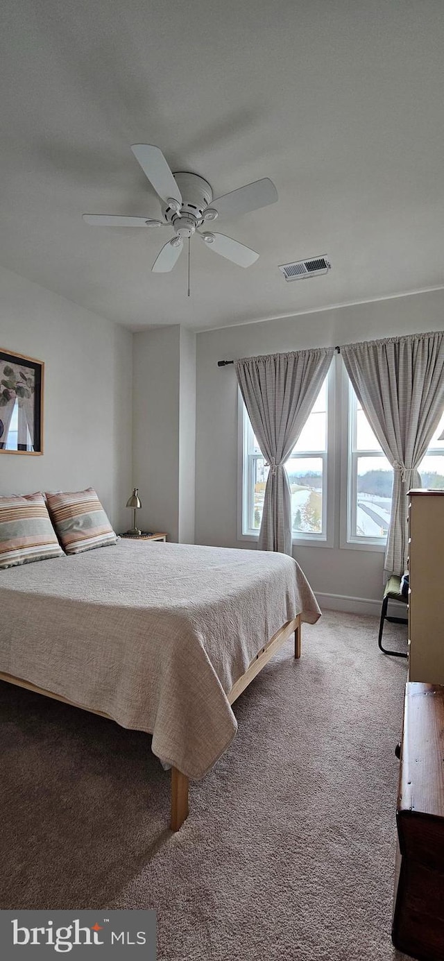 carpeted bedroom featuring ceiling fan and multiple windows