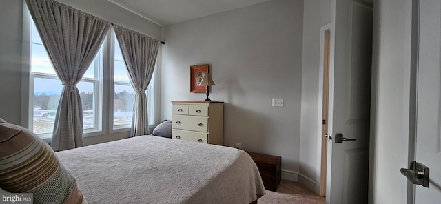 bedroom with carpet floors