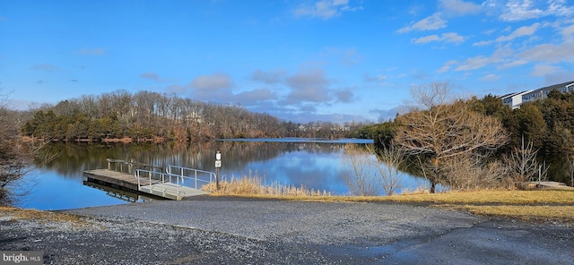 dock area featuring a water view