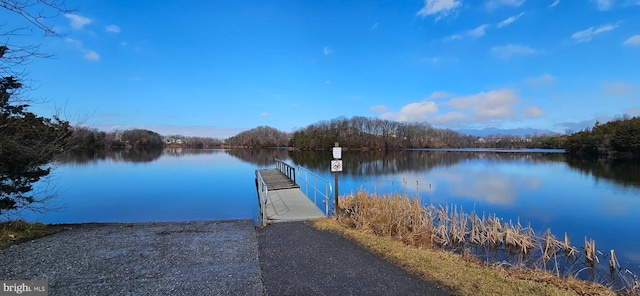 dock area featuring a water view