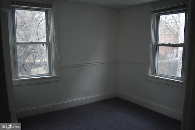 carpeted empty room with a paneled ceiling and a healthy amount of sunlight