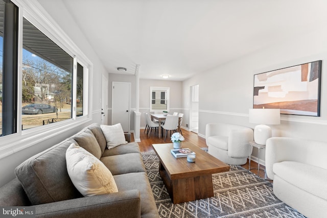 living room with dark hardwood / wood-style flooring