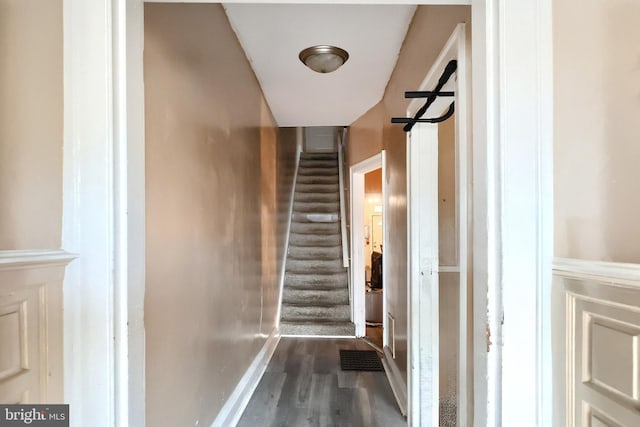 stairway featuring hardwood / wood-style floors