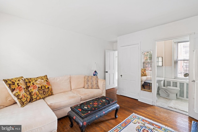 living room with dark hardwood / wood-style flooring and radiator