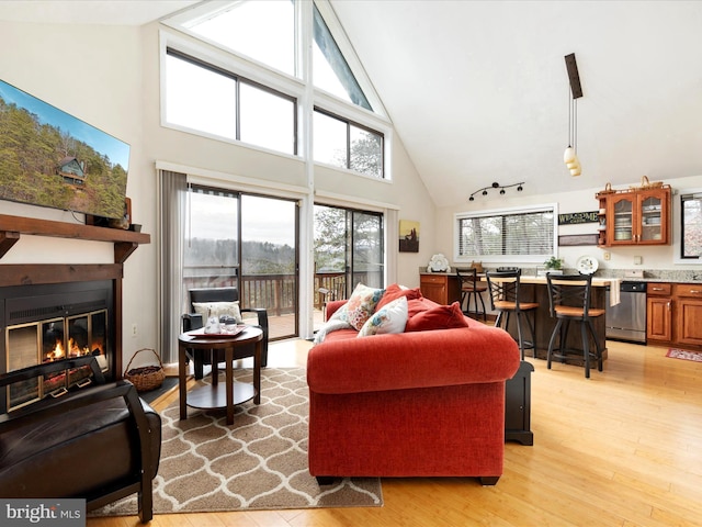 living room with track lighting, high vaulted ceiling, and light hardwood / wood-style flooring