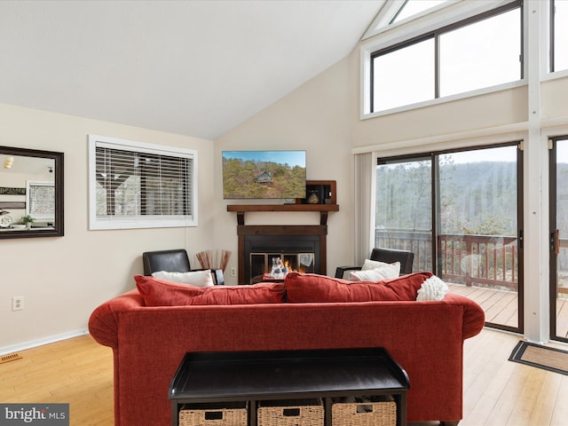 living room featuring hardwood / wood-style flooring and high vaulted ceiling