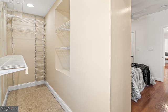 spacious closet featuring dark hardwood / wood-style flooring