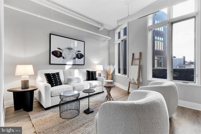 living room featuring hardwood / wood-style floors