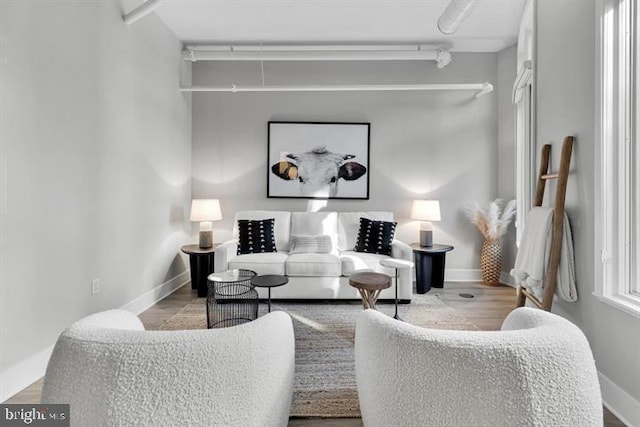 living room with light hardwood / wood-style flooring