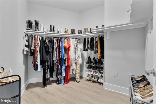 spacious closet featuring light wood-type flooring