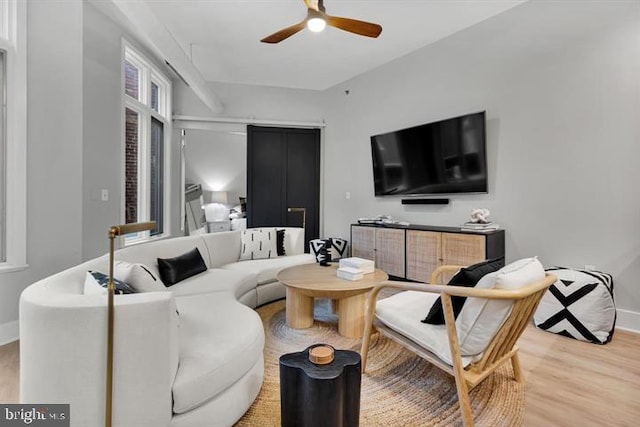 living room with ceiling fan and light hardwood / wood-style flooring