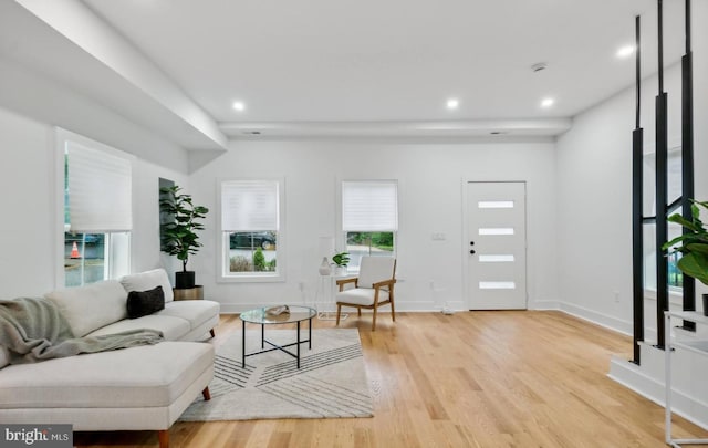 living room with light wood-type flooring