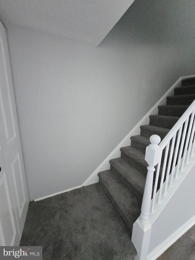 staircase featuring carpet floors