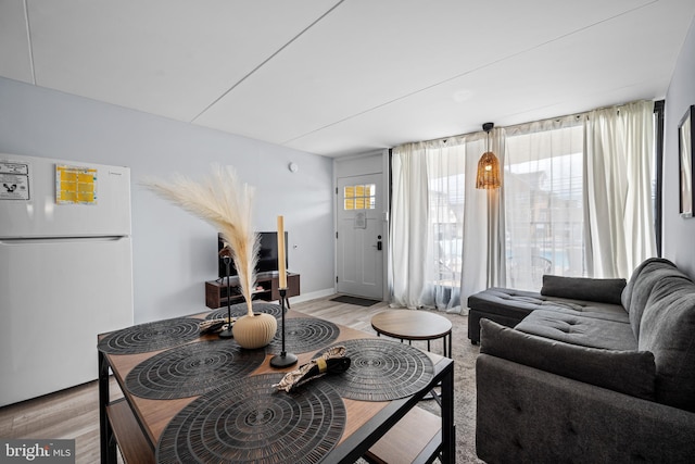 living room with light hardwood / wood-style flooring