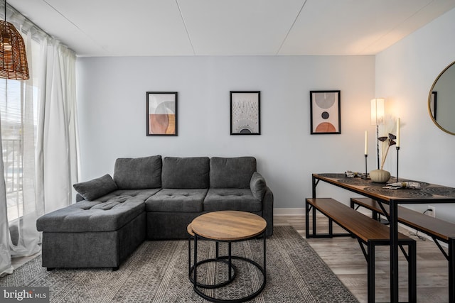 living room featuring hardwood / wood-style flooring