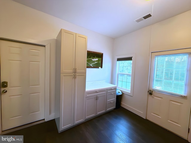 doorway with dark hardwood / wood-style flooring