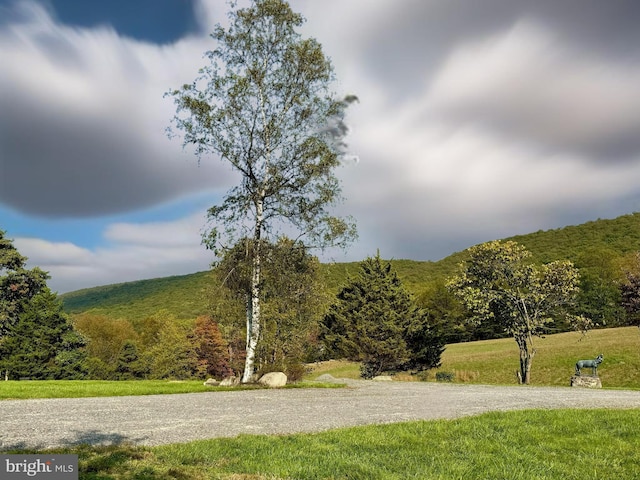 view of community with a yard