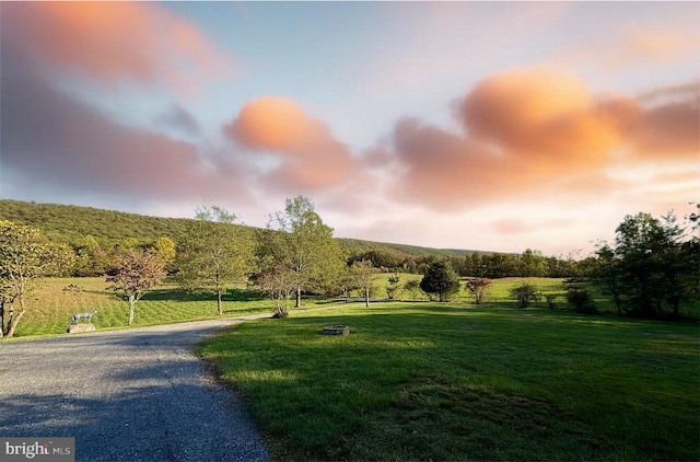 view of property's community with a lawn