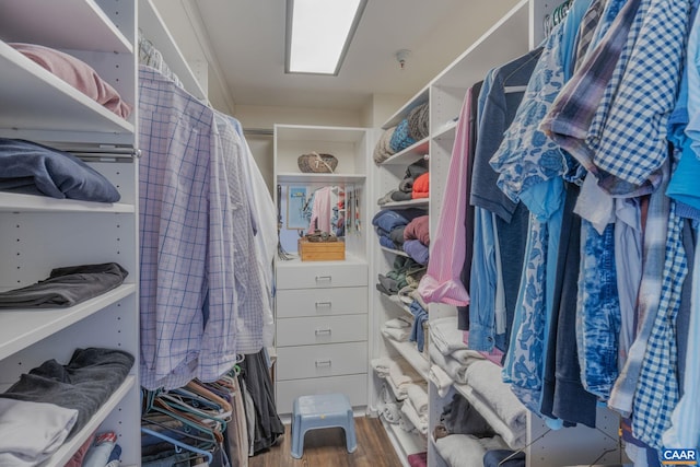 walk in closet with hardwood / wood-style flooring