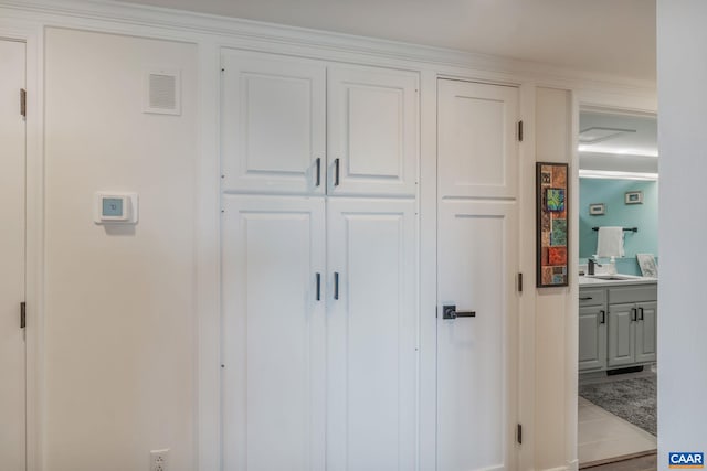 closet featuring sink