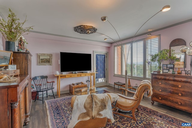 living room with wood-type flooring