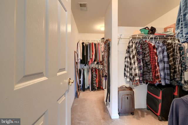 spacious closet with light carpet