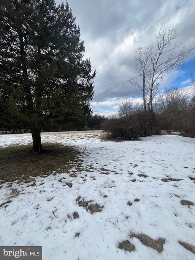 view of yard layered in snow