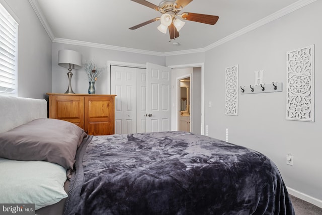 bedroom featuring ceiling fan, ornamental molding, a closet, and baseboards