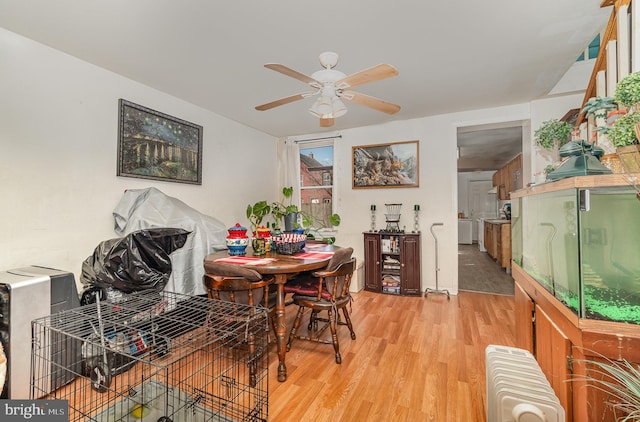 dining room with light wood finished floors, radiator heating unit, and ceiling fan