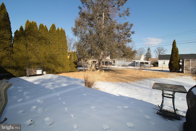 view of yard covered in snow