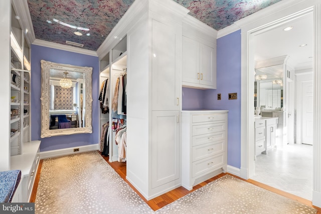 spacious closet featuring light wood-type flooring