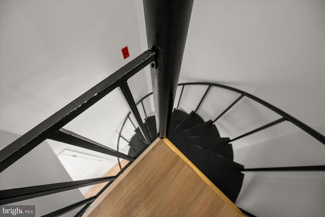 staircase with hardwood / wood-style flooring