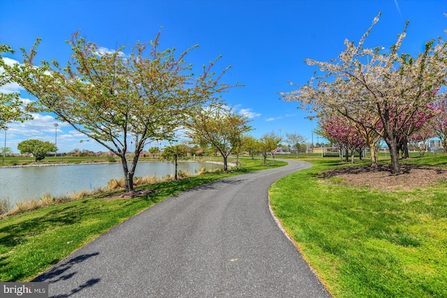 view of road with a water view