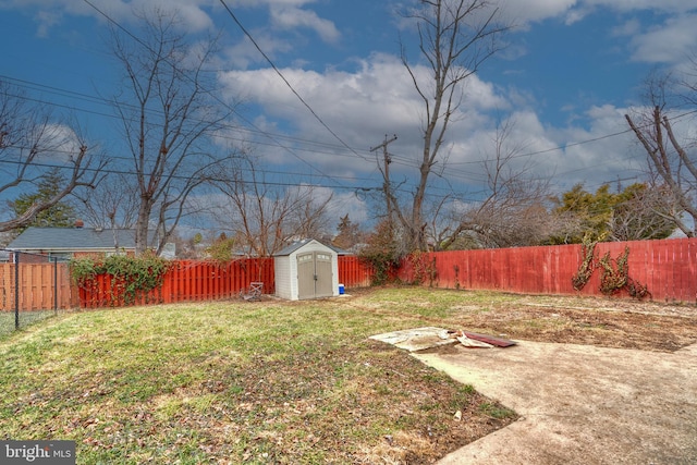 view of yard featuring a patio area and a storage shed