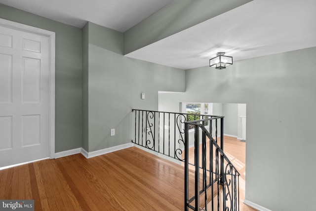 hall featuring wood-type flooring