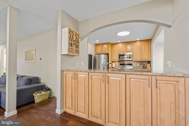 kitchen with dark wood-type flooring, appliances with stainless steel finishes, light brown cabinetry, and light stone counters