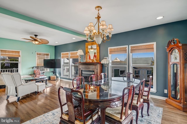 dining space featuring a healthy amount of sunlight, ceiling fan with notable chandelier, and light hardwood / wood-style flooring