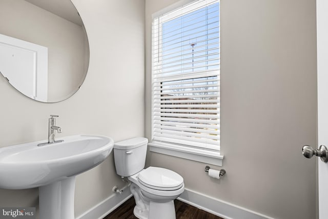 bathroom with hardwood / wood-style flooring and toilet