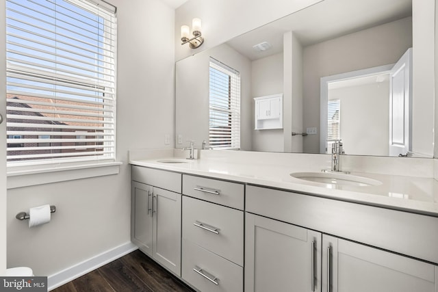 bathroom with hardwood / wood-style flooring and vanity