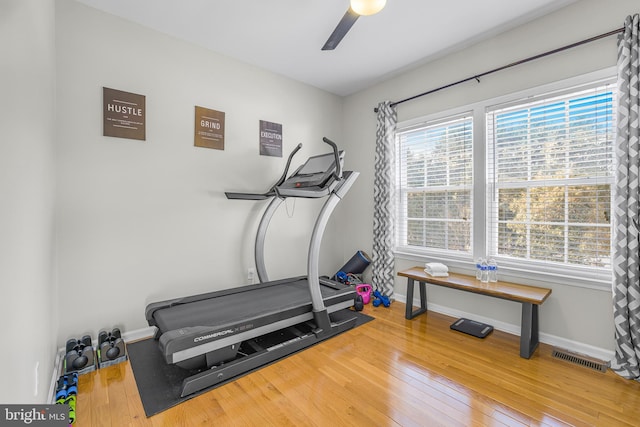 workout area with hardwood / wood-style flooring and ceiling fan