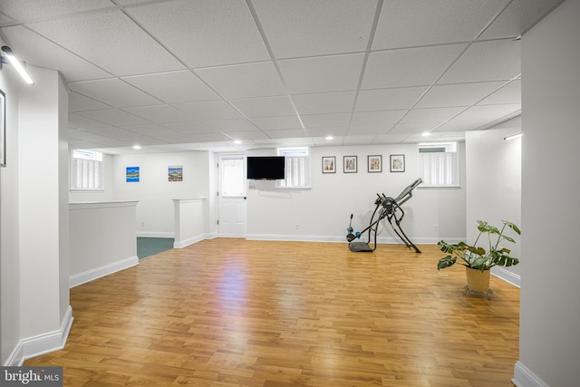 workout room with plenty of natural light, hardwood / wood-style floors, and a drop ceiling