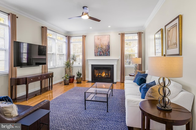 living room featuring crown molding, ceiling fan, and wood-type flooring